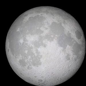 Meet your Posher, Charles